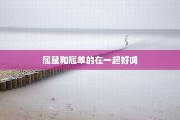 属鼠和属羊的在一起好吗
