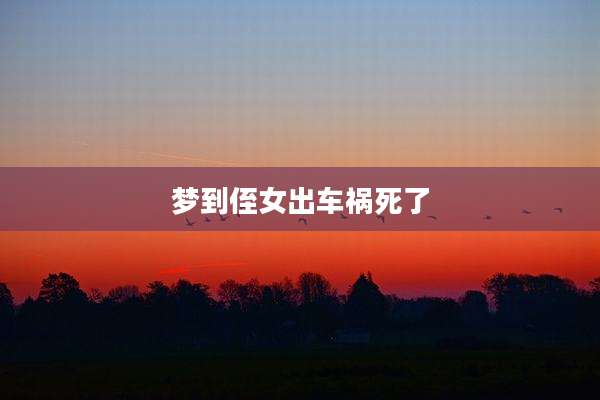 梦到侄女出车祸死了