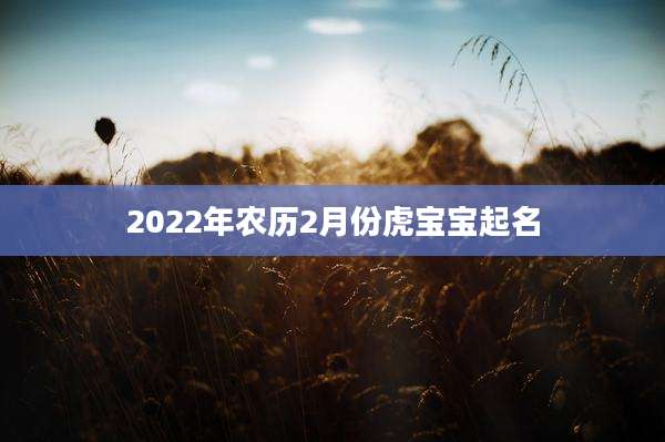 2022年农历2月份虎宝宝起名