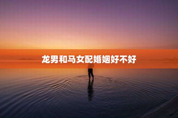 龙男和马女配婚姻好不好