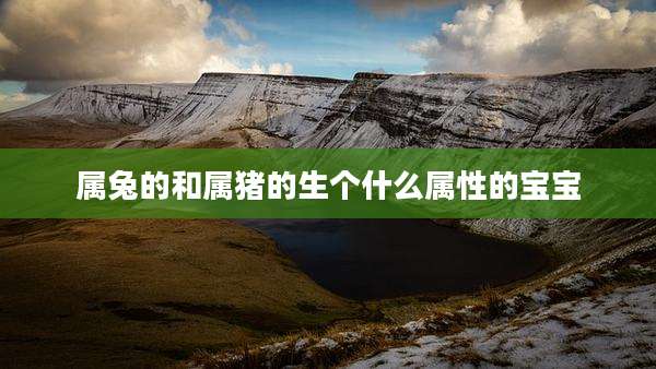 属兔的和属猪的生个什么属性的宝宝