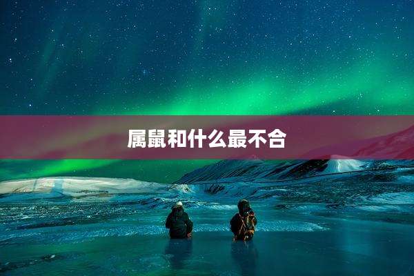 属鼠和什么最不合