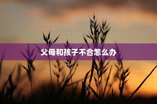 父母和孩子不合怎么办