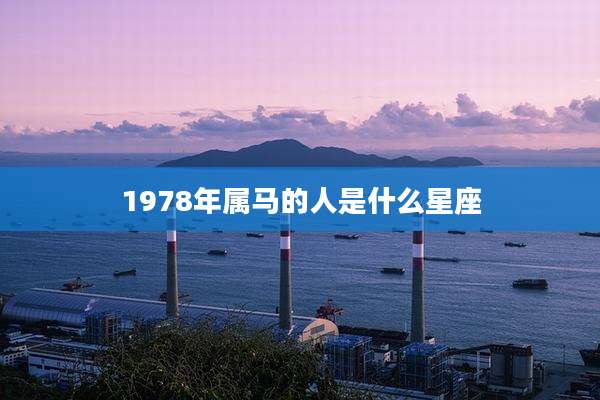 1978年属马的人是什么星座