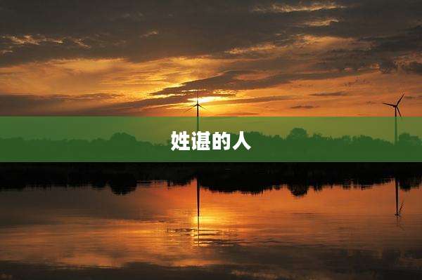 姓谌的人
