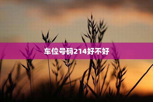 车位号码214好不好