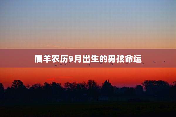 属羊农历9月出生的男孩命运