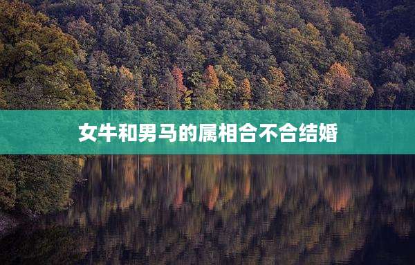 女牛和男马的属相合不合结婚