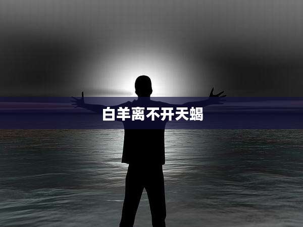 白羊离不开天蝎