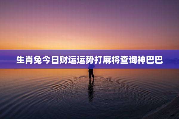 生肖兔今日财运运势打麻将查询神巴巴