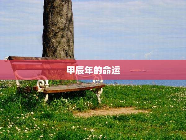 甲辰年的命运