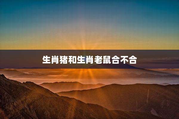 生肖猪和生肖老鼠合不合