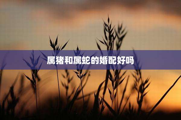 属猪和属蛇的婚配好吗
