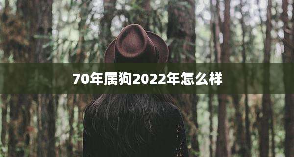 70年属狗2022年怎么样