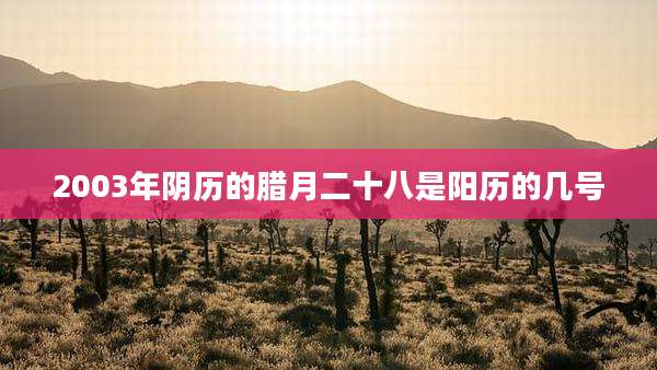 2003年阴历的腊月二十八是阳历的几号