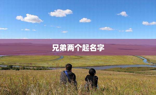 兄弟两个起名字