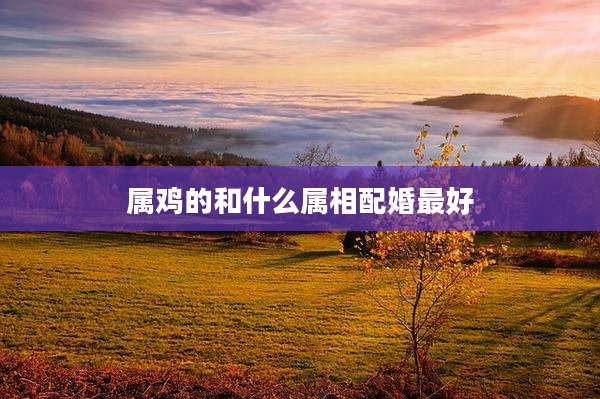 属鸡的和什么属相配婚最好