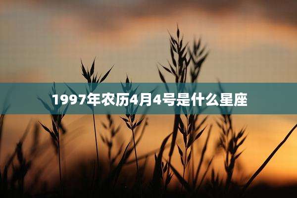 1997年农历4月4号是什么星座