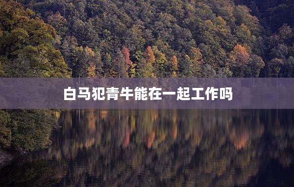白马犯青牛能在一起工作吗