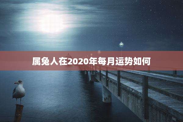 属兔人在2020年每月运势如何