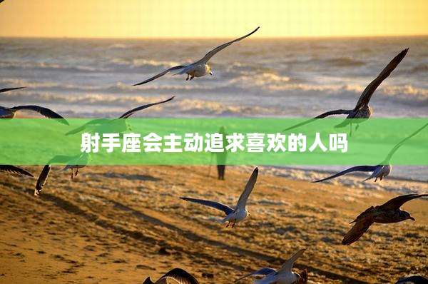 射手座会主动追求喜欢的人吗