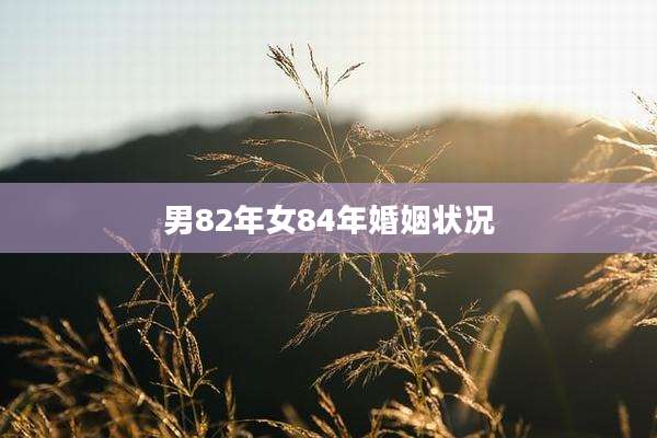 男82年女84年婚姻状况
