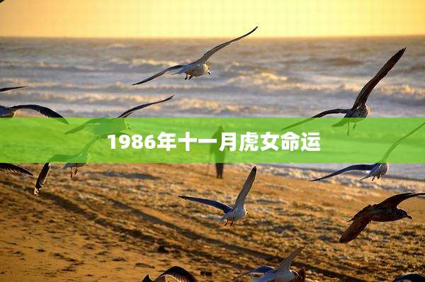 1986年十一月虎女命运