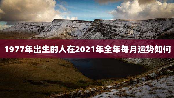 1977年出生的人在2021年全年每月运势如何