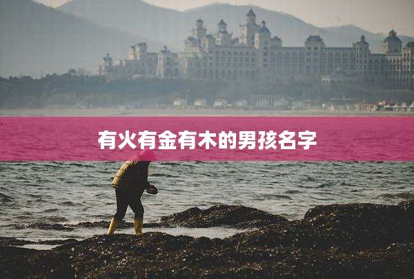有火有金有木的男孩名字