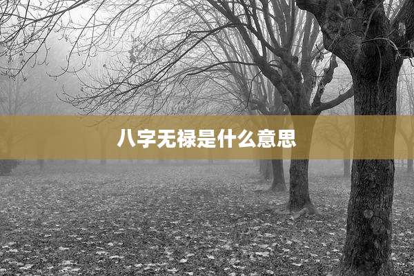 八字无禄是什么意思