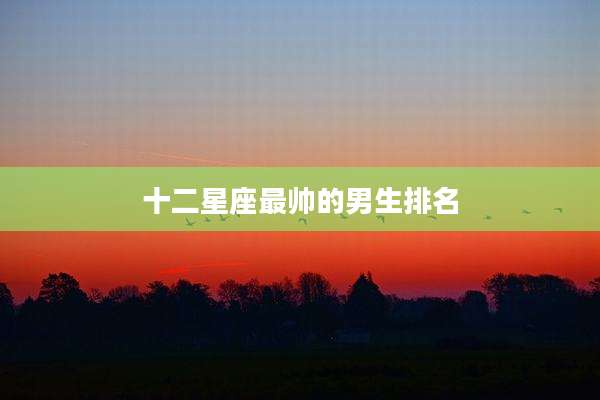十二星座最帅的男生排名