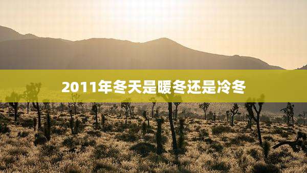 2011年冬天是暖冬还是冷冬