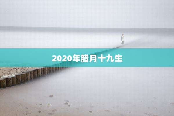2020年腊月十九生