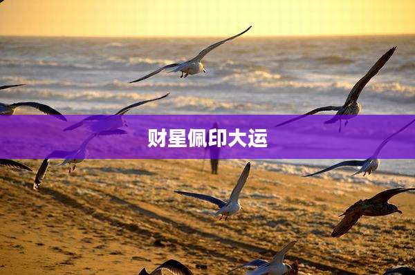 财星佩印大运