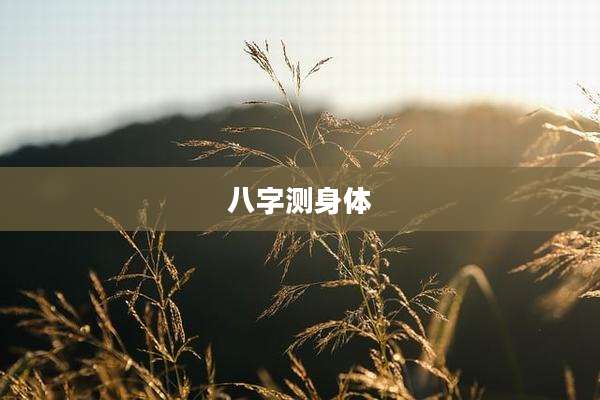 八字测身体