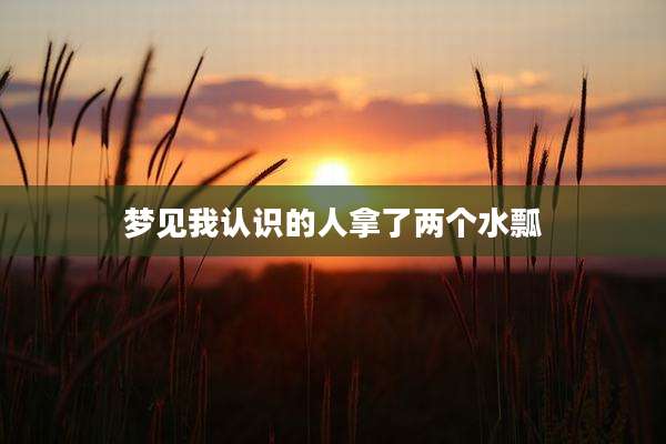梦见我认识的人拿了两个水瓢
