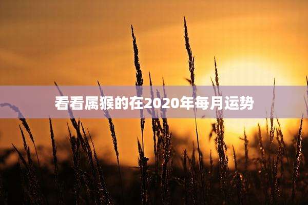 看看属猴的在2020年每月运势