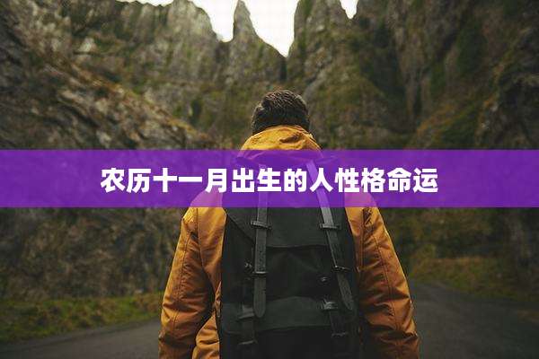 农历十一月出生的人性格命运