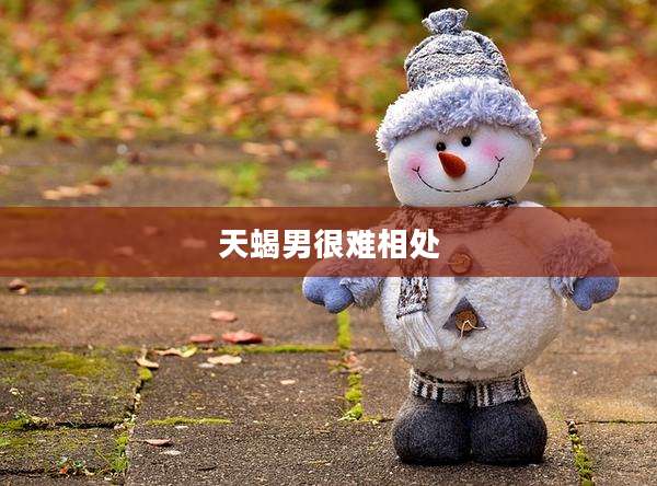 天蝎男很难相处