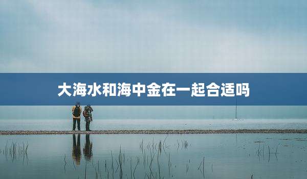 大海水和海中金在一起合适吗