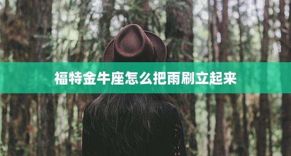 福特金牛座怎么把雨刷立起来