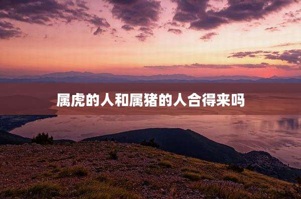 属虎的人和属猪的人合得来吗
