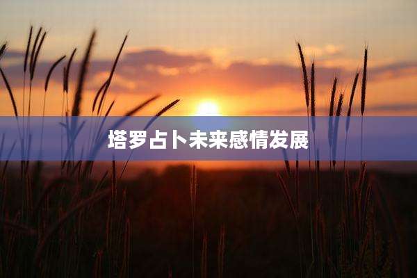 塔罗占卜未来感情发展