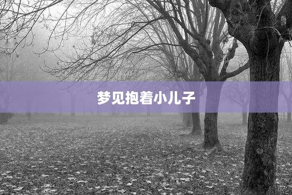 梦见抱着小儿子