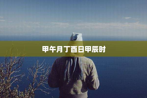 甲午月丁酉日甲辰时