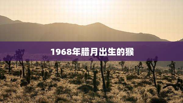 1968年腊月出生的猴