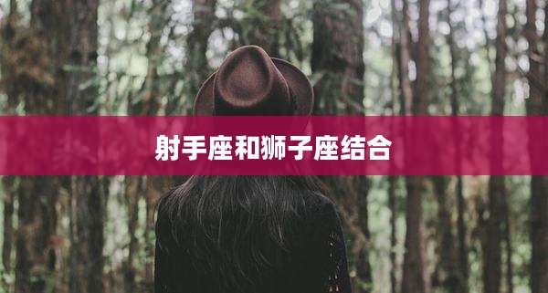 射手座和狮子座结合