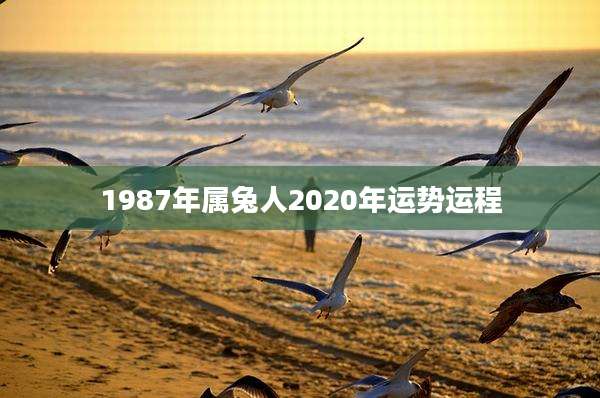 1987年属兔人2020年运势运程
