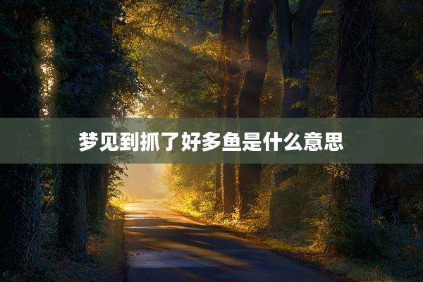 梦见到抓了好多鱼是什么意思