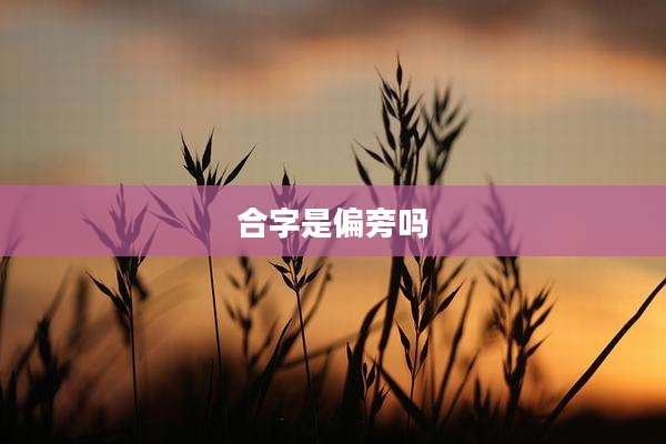 合字是偏旁吗
